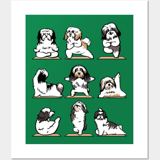 Havanese Yoga Posters and Art